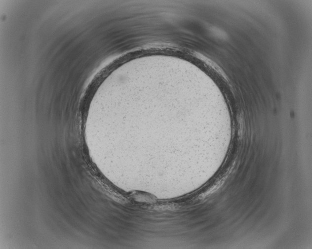 X0000079321021200612151812