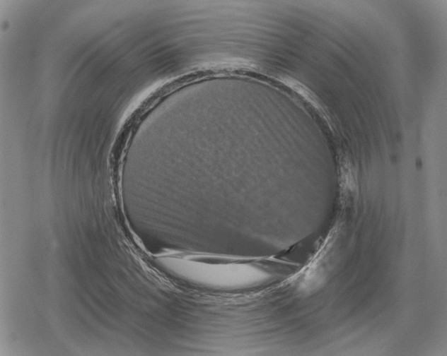 X0000079321022200612151812