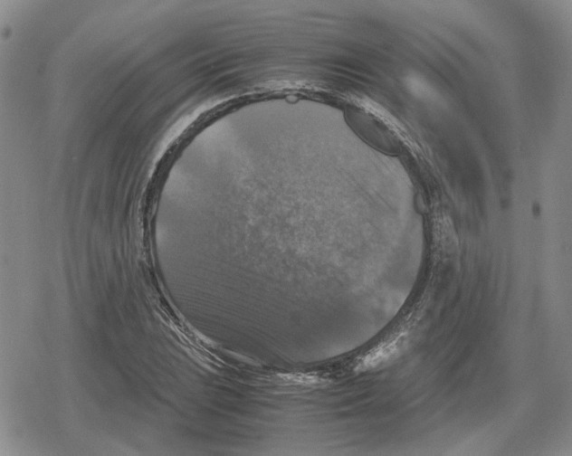 X0000079321023200612151812