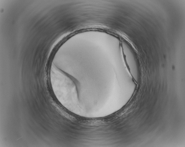 X0000079321024200612151812