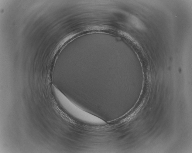 X0000079321025200612151812