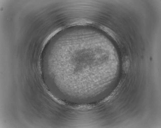 X0000079321026200612151812