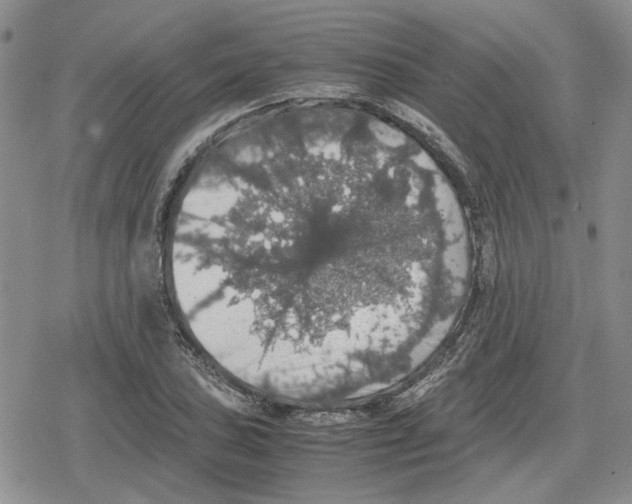 X0000079321027200612151812