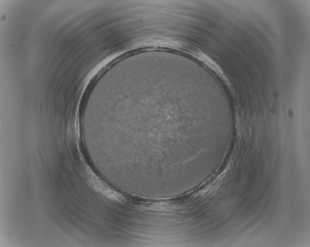 X0000079321028200612151812