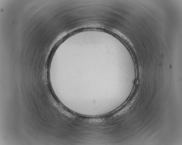 X0000079321029200612151812