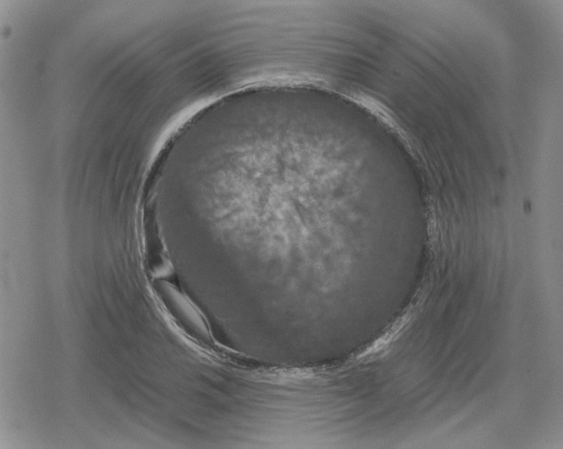 X0000079321030200612151812