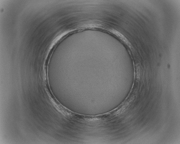 X0000079321031200612151812