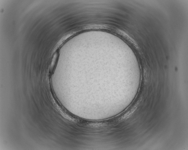 X0000079321033200612151812