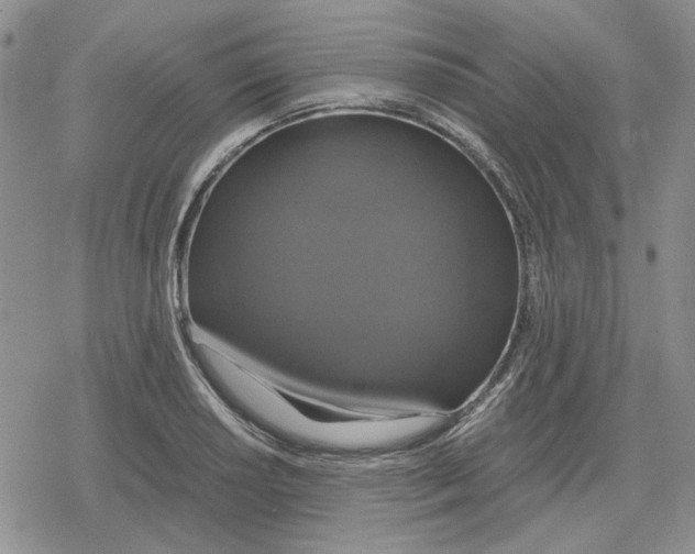 X0000079321034200612151812