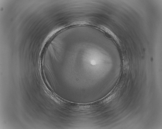 X0000079321035200612151812