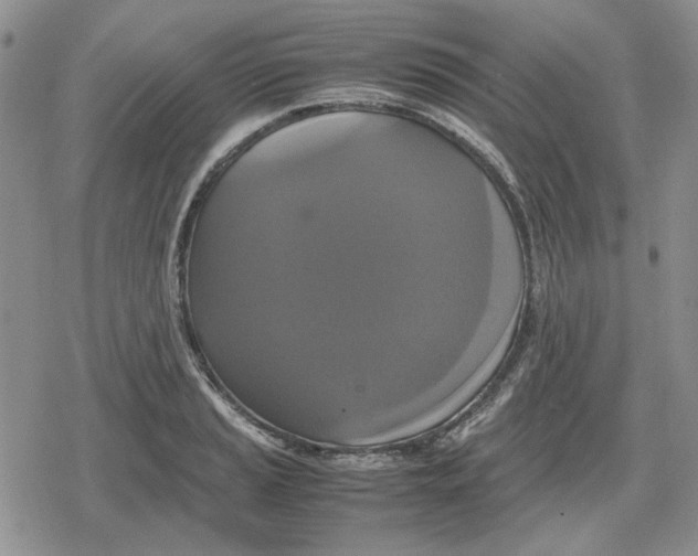 X0000079321037200612151812