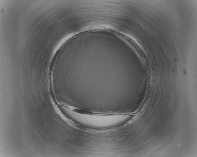 X0000079321038200612151812