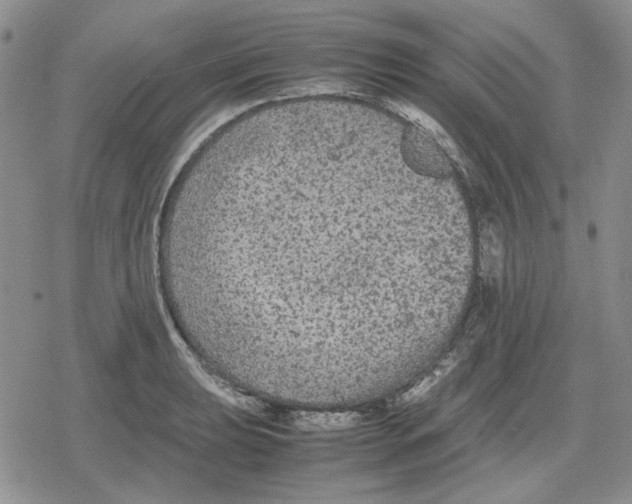 X0000079321039200612151812