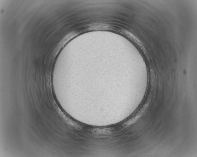 X0000079321041200612151812