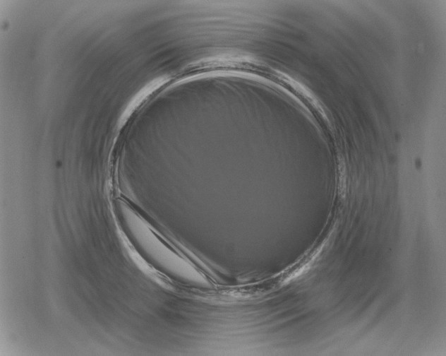 X0000079321042200612151812