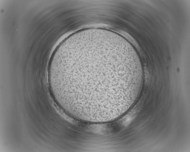 X0000079321044200612151812