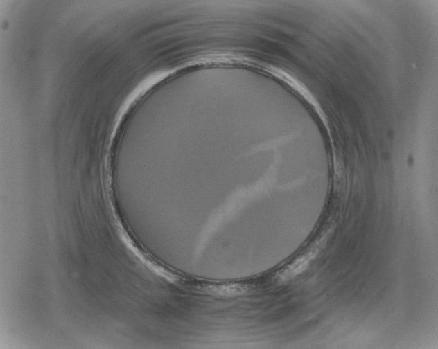 X0000079321045200612151812