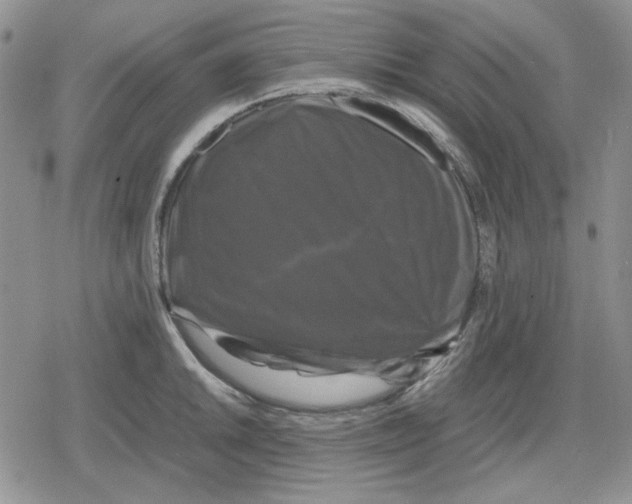 X0000079321046200612151812