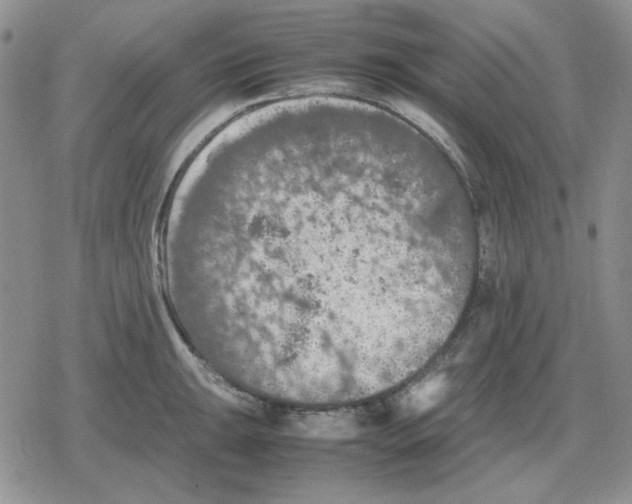 X0000079321047200612151812