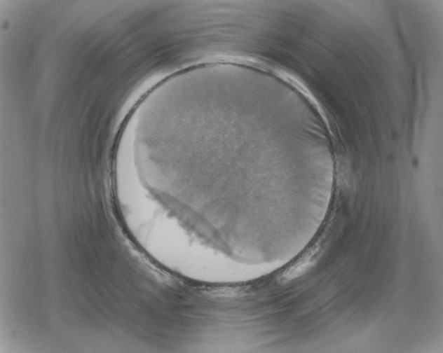 X0000079321048200612151812