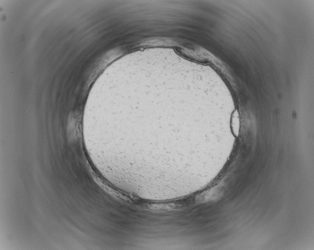 X0000079321049200612151812