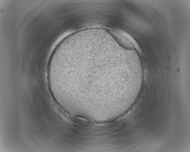 X0000079321051200612151812