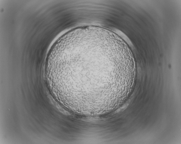 X0000079321052200612151812