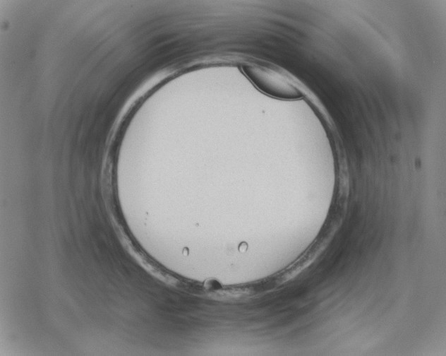 X0000079321053200612151812