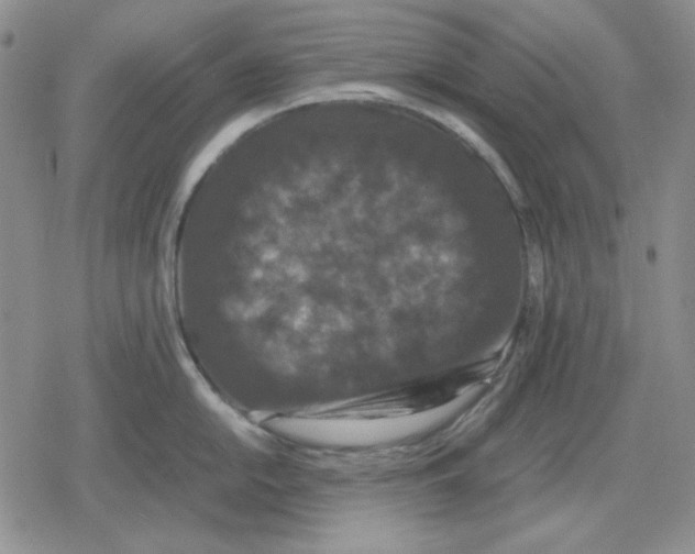 X0000079321054200612151812