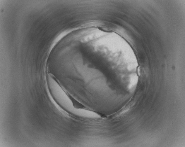 X0000079321055200612151812