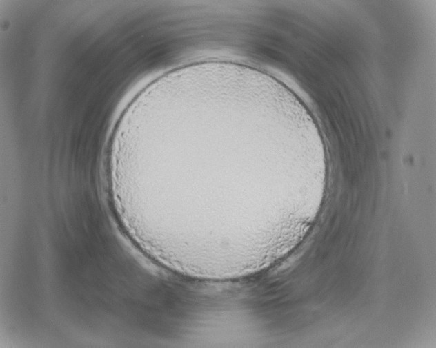 X0000079321056200612151812