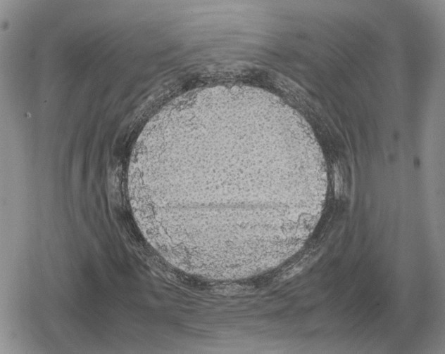 X0000079321059200612151811