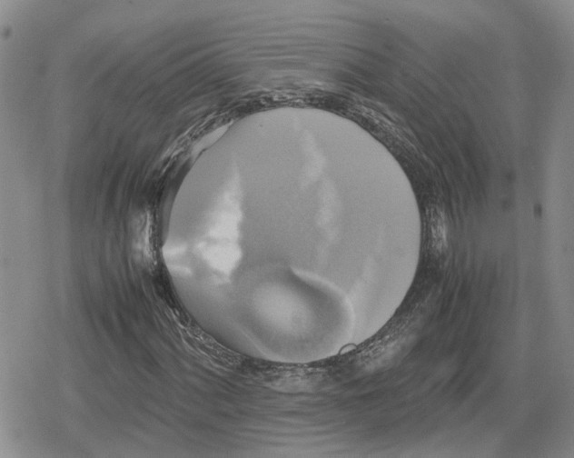 X0000079321060200612151811