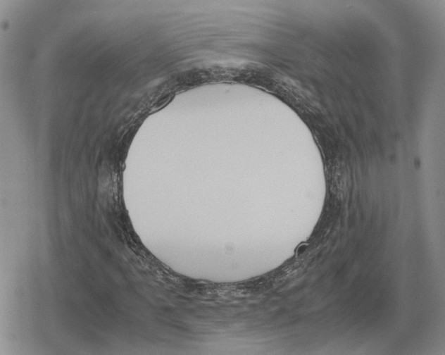 X0000079321061200612151811