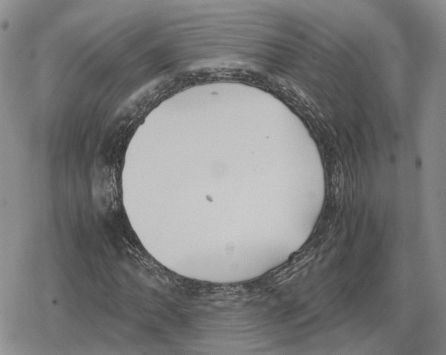 X0000079321062200612151811