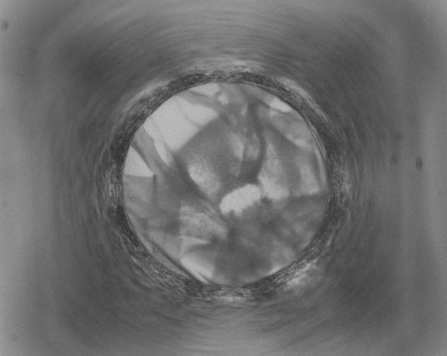 X0000079321063200612151811