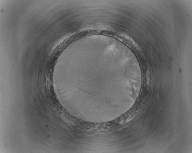 X0000079321064200612151811