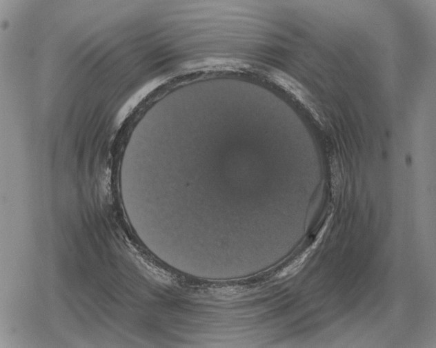 X0000079321066200612151811