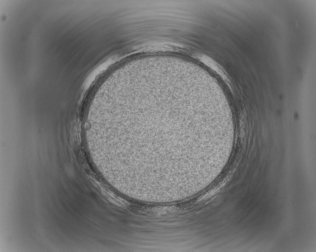 X0000079321067200612151811