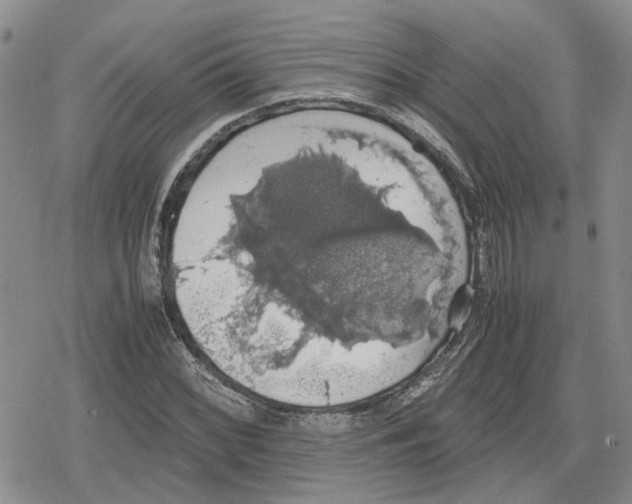 X0000079321068200612151811