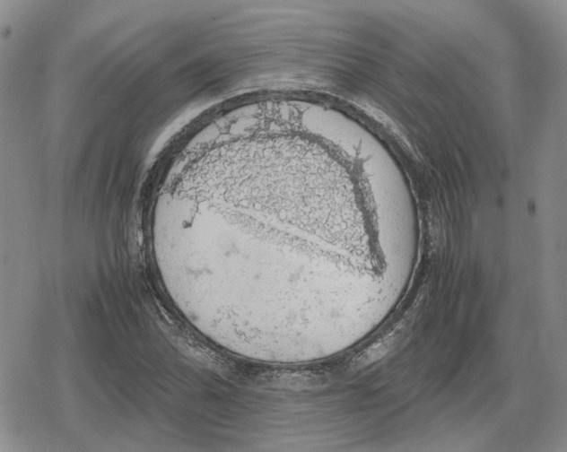 X0000079321070200612151811