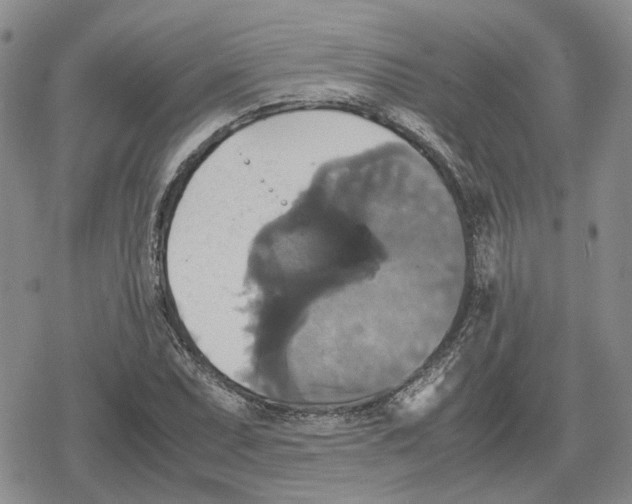 X0000079321071200612151811