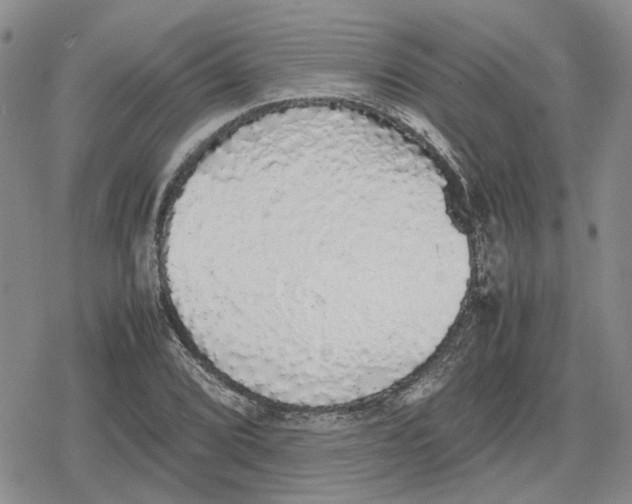 X0000079321072200612151811