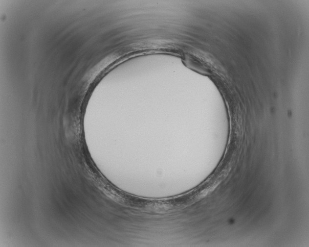 X0000079321073200612151811