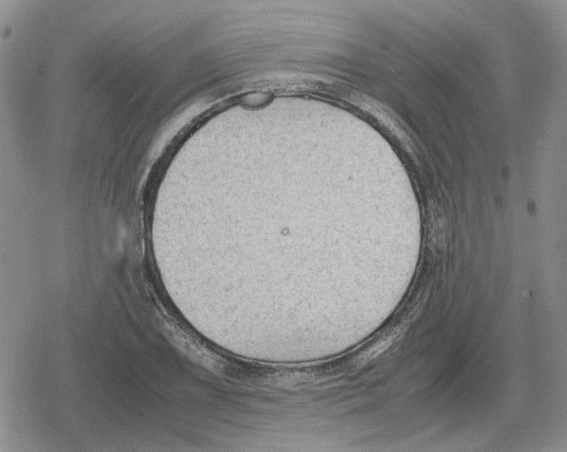 X0000079321075200612151811