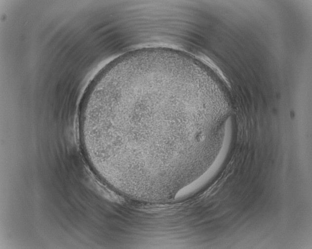 X0000079321076200612151811