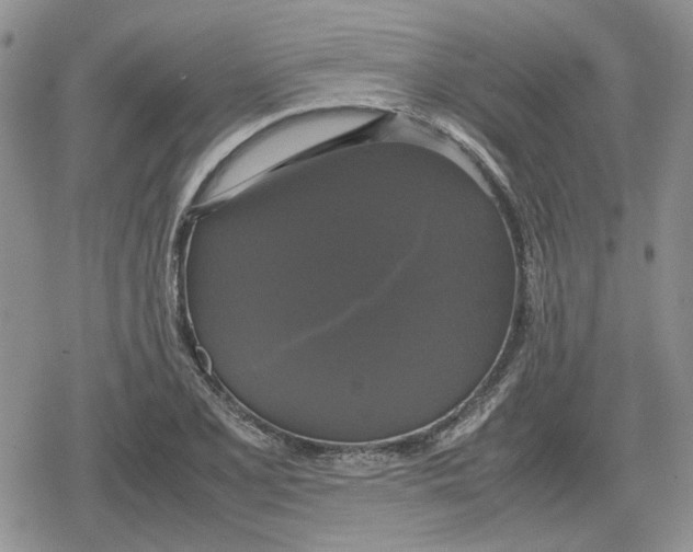 X0000079321077200612151811