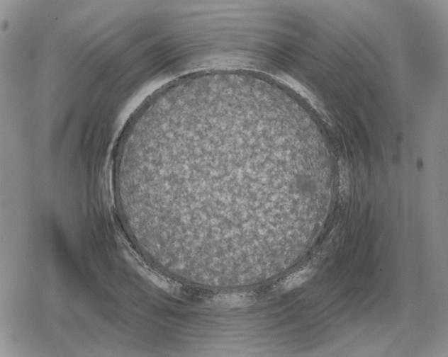 X0000079321078200612151811