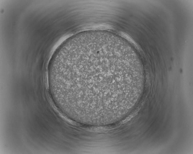 X0000079321079200612151811