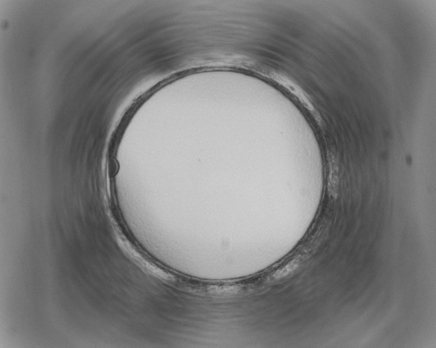 X0000079321080200612151811